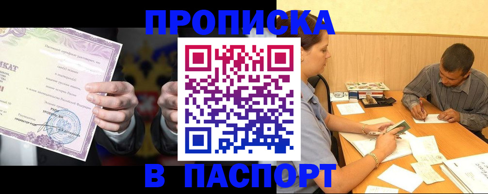 где прописаться в Ельне